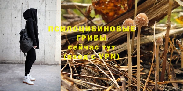 spice Михайловск